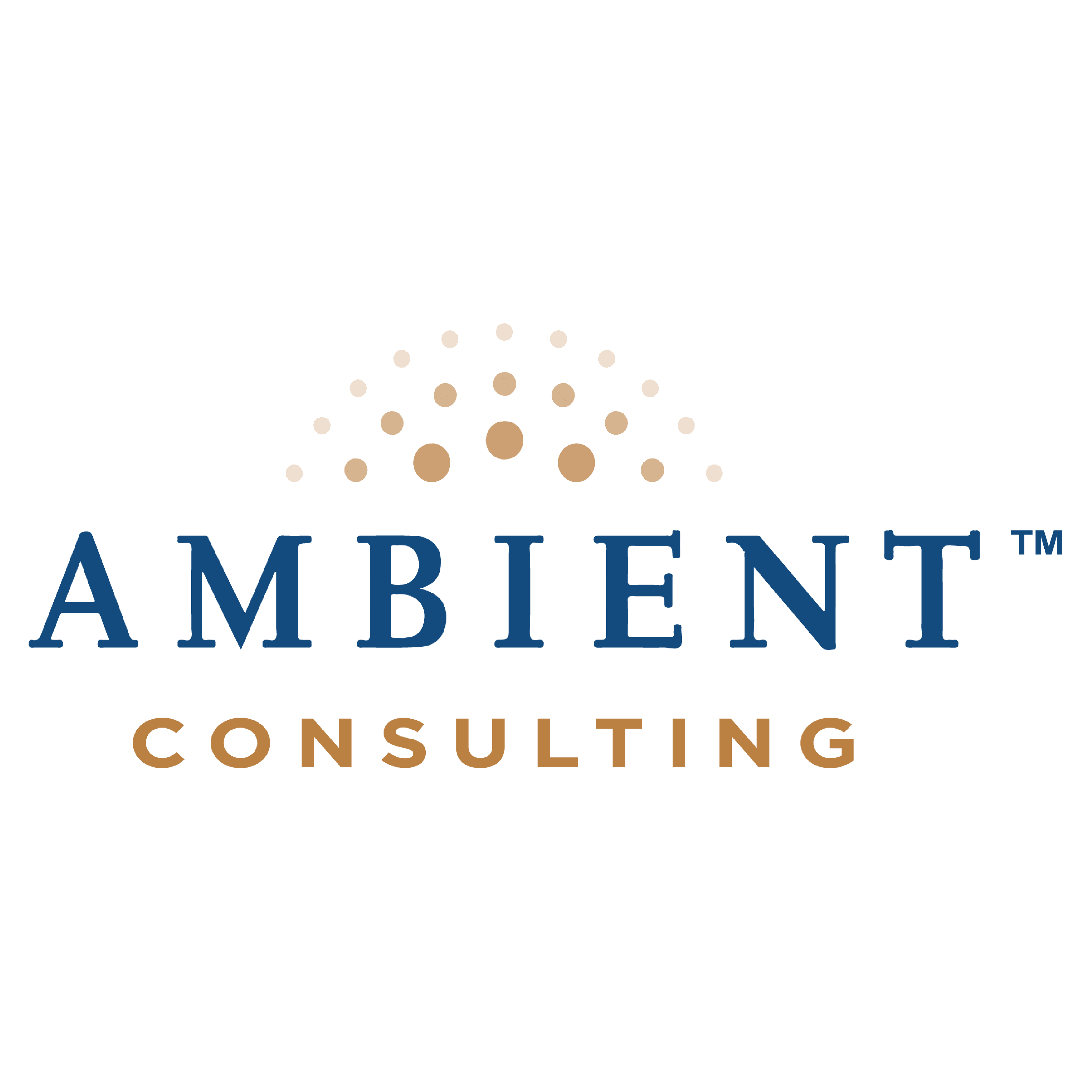 Ambient Consulting