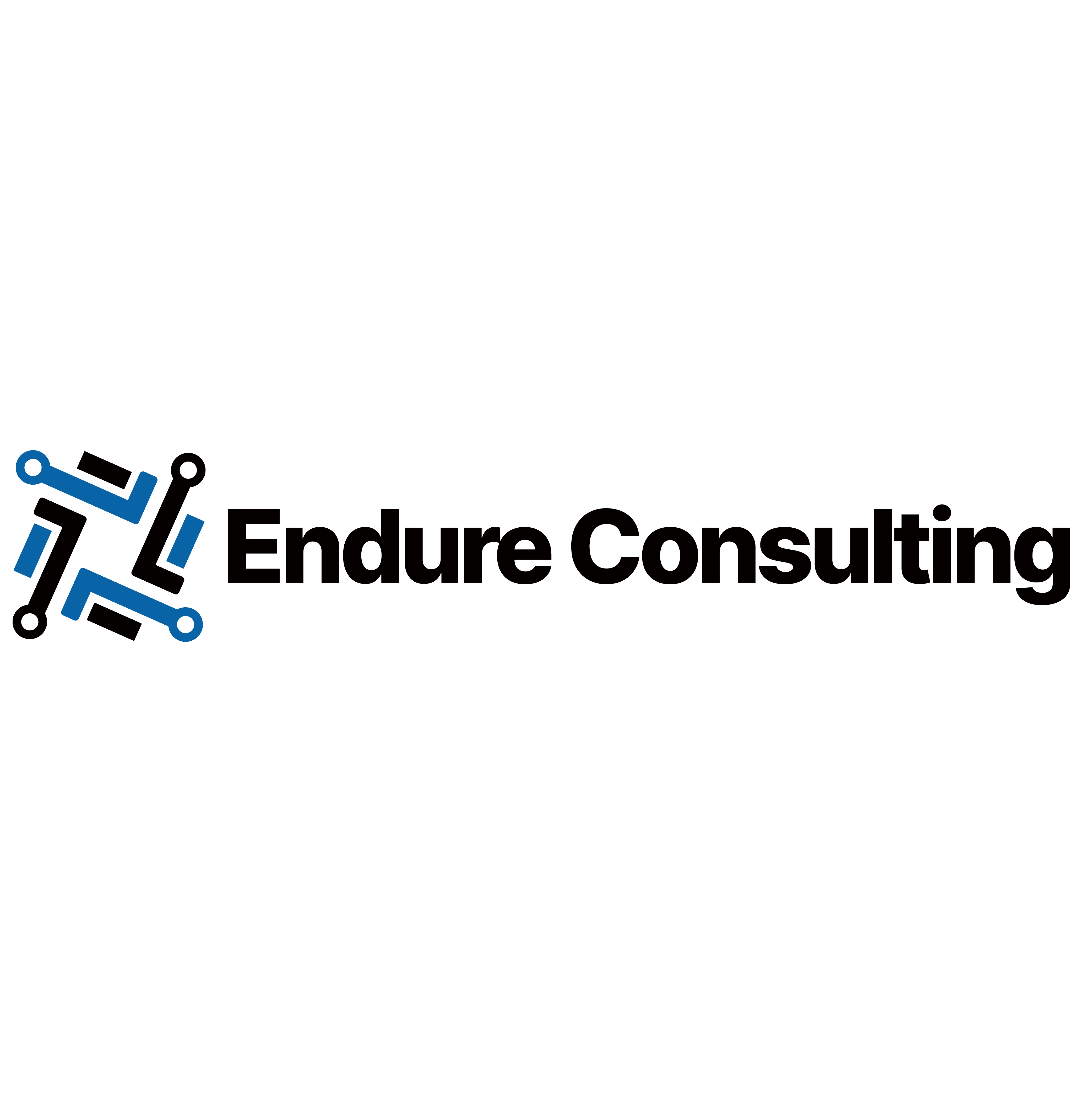 Endure Consulting